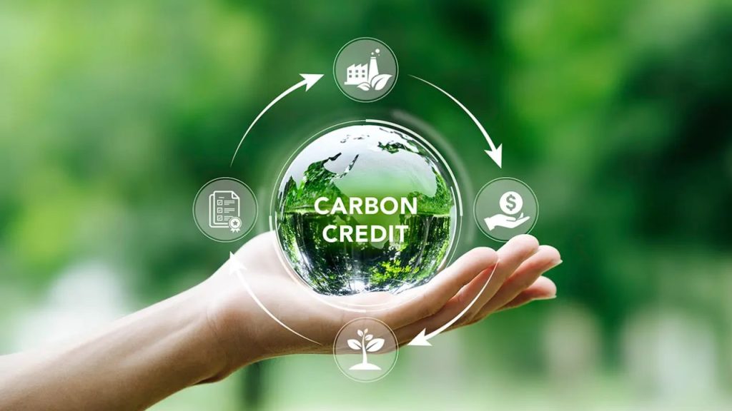 Carbon Credits