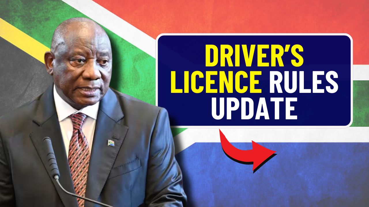 Driver License Rules Update