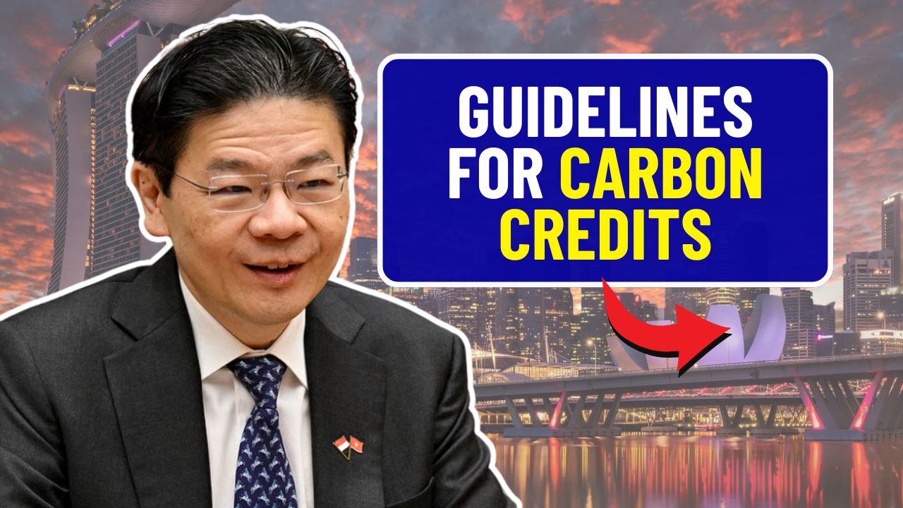 Guidelines For Carbon Credits