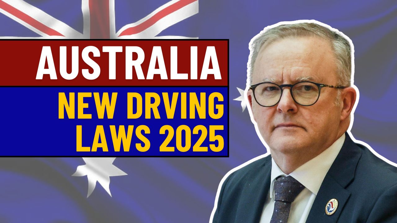 New Driving Laws